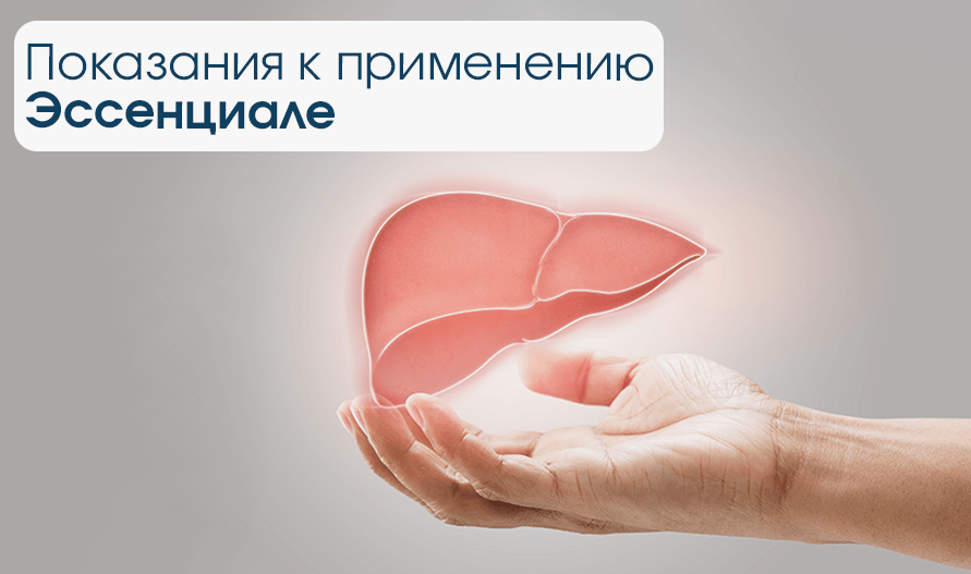 изображение статьи Показания к применению Эссенциале