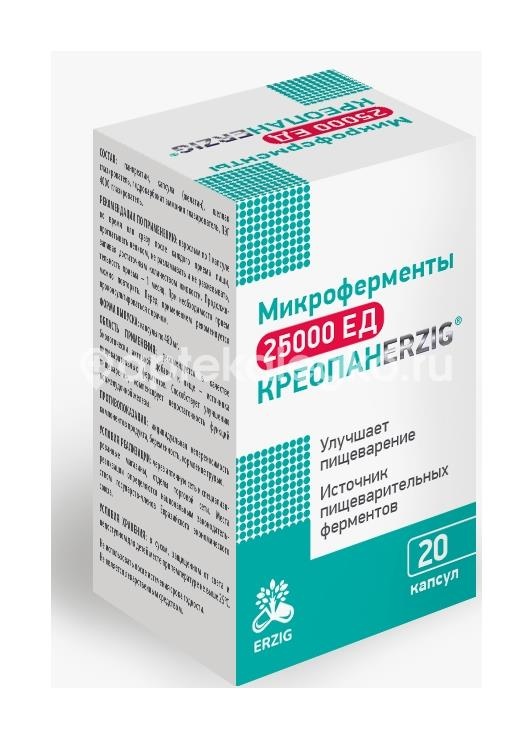 Изображение Креопан 25000ед капсулы 20 шт. КРЕОПАН 25000ЕД КАПСУЛЫ 20 ШТ. ФАРМФАБРИКА