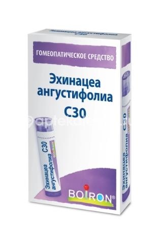 Изображение Эхинацеа ангустифолиа с30 гомеопат монокомп препарат растит происхожд 4г. ЭХИНАЦЕА АНГУСТИФОЛИА С30 ГОМЕОПАТ МОНОКОМП ПРЕПАРАТ РАСТИТ ПРОИСХОЖД 4Г. Буарон