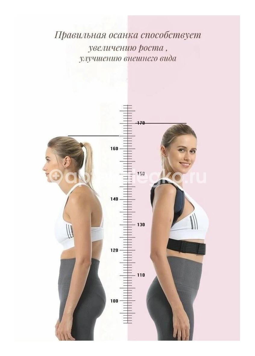 Медиана корректор осанки р.xl /арт.50.14/ Медиана корректор осанки р.xl /арт.50.14/ - 1