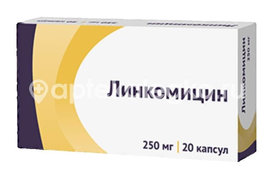 Линкомицин 250мг. 20шт. капсулы Линкомицин 250мг. 20шт. капсулы - 2