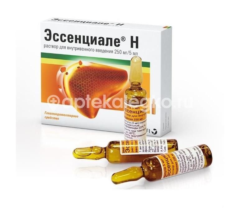 Эссенциале н 250мг./5мл. 5шт. раствор 5мл. ампула Эссенциале н 250мг./5мл. 5шт. раствор 5мл. ампула - 1