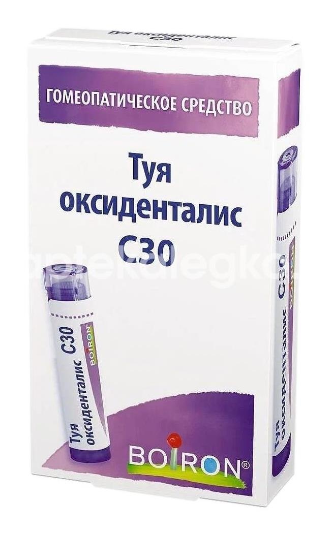 Изображение Туя окциденталис с6 5г. гран.гомеопат. ТУЯ ОКЦИДЕНТАЛИС С6 5Г. ГРАН.ГОМЕОПАТ. ДОКТОР Н