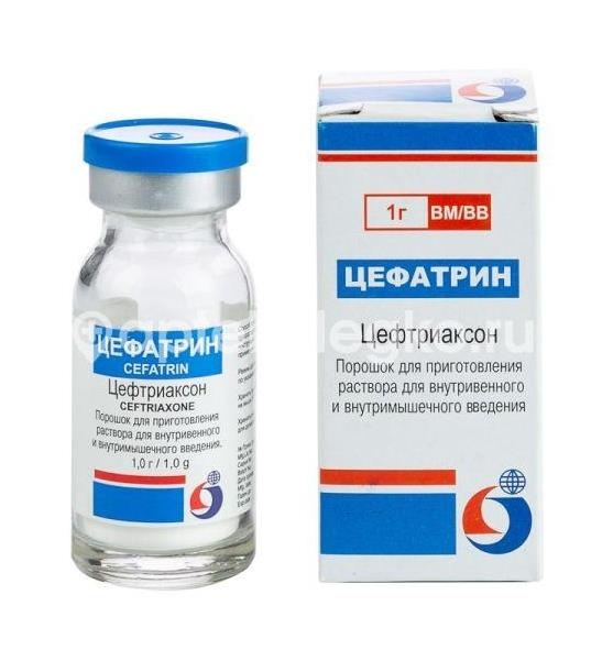 Изображение Цефатрин 1г. 5шт. порошок для приготовления раствора для инъекций флакон Цефатрин 1г. 5шт. порошок для приготовления раствора для инъекций флакон Джепак Интернейшенл ( Gepach )
