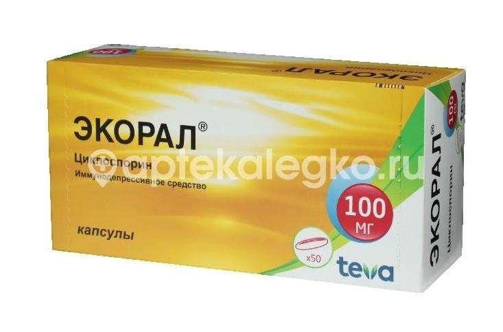 Экорал 100мг 50шт. капсулы Экорал 100мг 50шт. капсулы - 1