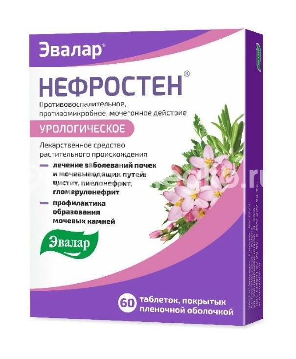 Нефростен 250мг. №60 таб. п/о /эвалар/ Нефростен 250мг. №60 таб. п/о /эвалар/ - 2