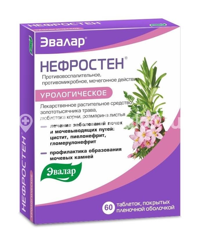 Нефростен 250мг. №60 таб. п/о /эвалар/ Нефростен 250мг. №60 таб. п/о /эвалар/ - 1
