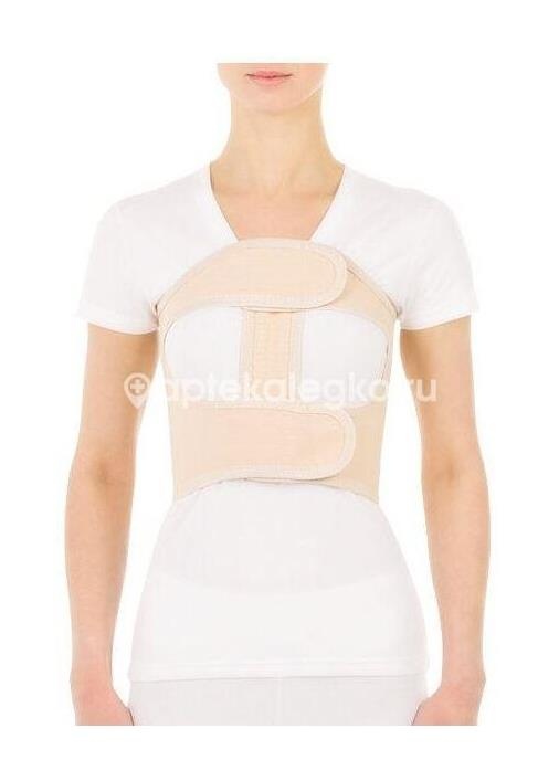 Тривес бандаж п/операц. жен. р.5 /арт.т - 1338/ Тривес бандаж п/операц. жен. р.5 /арт.т - 1338/ - 1