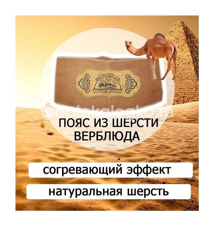 Изображение Пояс эласт. верблюжья шерсть р.3 (м) 76 - 81см. ПОЯС ЭЛАСТ. ВЕРБЛЮЖЬЯ ШЕРСТЬ Р.3 (М) 76 - 81СМ. Леонарда-Сервис ООО