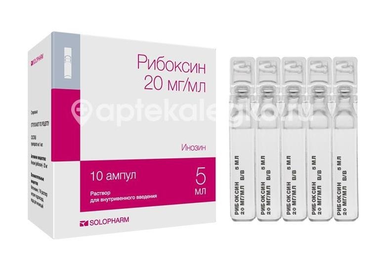 Изображение Рибоксин 2% 5мл. №10 р - р для в/в введ. амп. РИБОКСИН 2% 5МЛ. №10 Р - Р ДЛЯ В/В ВВЕД. АМП.