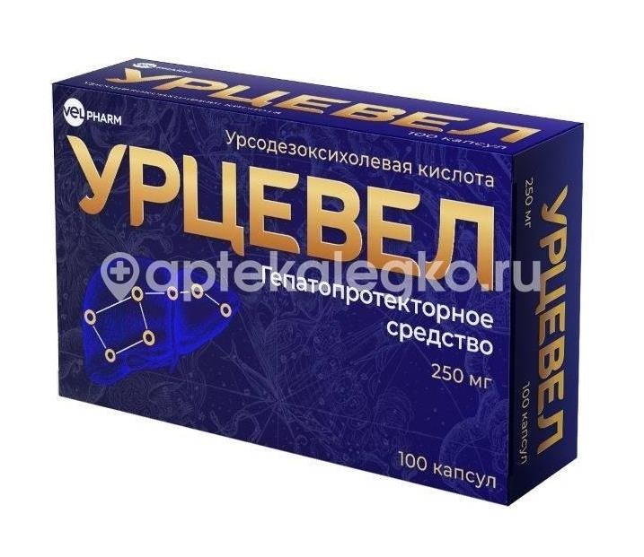 Изображение Урцевел велфарм 250мг. 100шт. капсулы Урцевел Велфарм 250мг. 100шт. капсулы ООО ВЕЛФАРМ