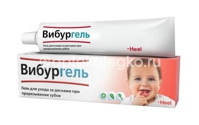 Изображение Вибургель гель 10мл. для ухода за деснами при прорезывании зубов Вибургель гель 10мл. для ухода за деснами при прорезывании зубов Биологише Хайльмиттель Хеель ГмбХ (BIOLOGISCHE )