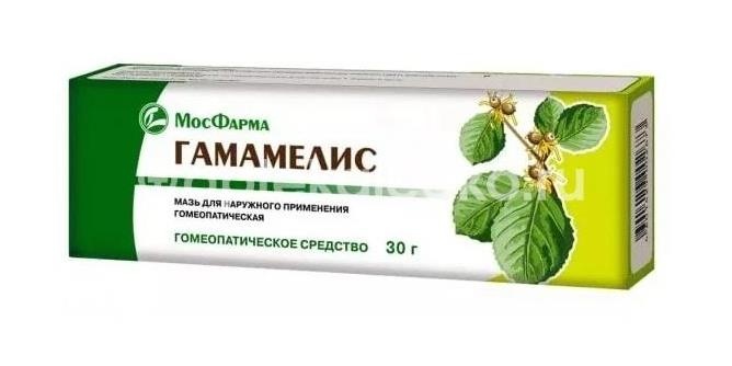 Гамамелис 70г. мазь. гомеопат. Гамамелис 70г. мазь. гомеопат. - 1