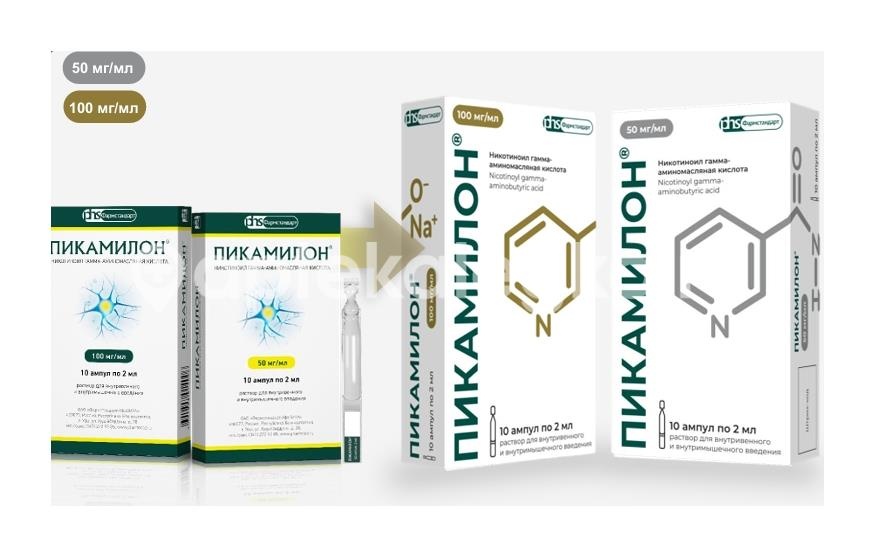 Пикамилон 5% 10шт. раствор для внутривенного и внутримышечного введения 2мл ампула Пикамилон 5% 10шт. раствор для внутривенного и внутримышечного введения 2мл ампула - 2
