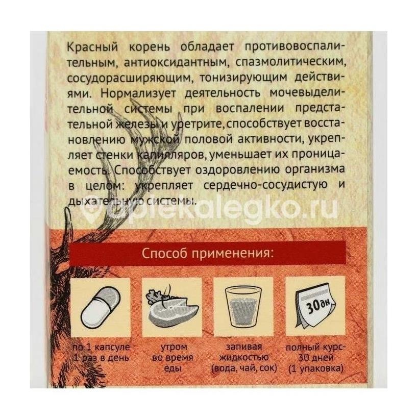 Изображение Пантогематоген мужская сила красный корень + вит.с №30 капс. ПАНТОГЕМАТОГЕН МУЖСКАЯ СИЛА КРАСНЫЙ КОРЕНЬ + ВИТ.С №30 КАПС. ИП Фролов Н.А.