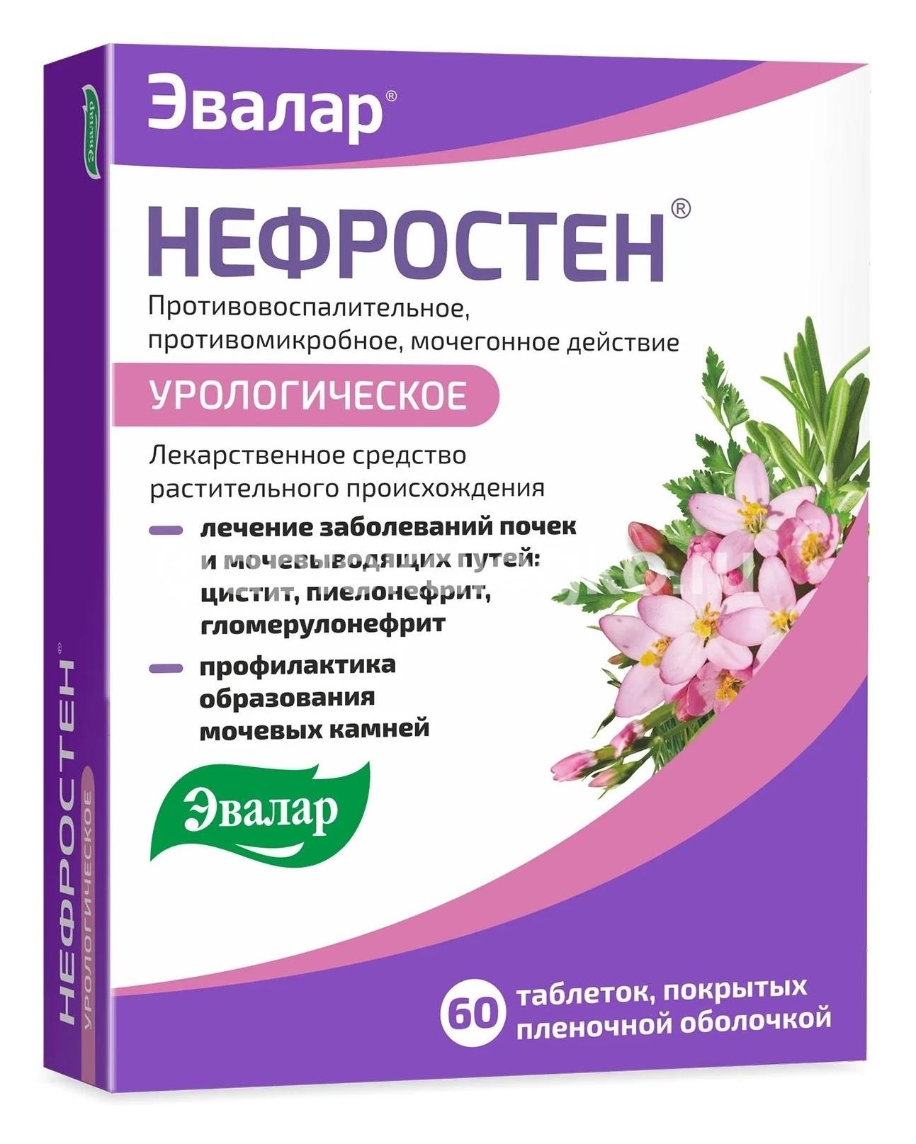 Нефростен 60шт. таблетки покрытые пленочной оболочкой Нефростен 60шт. таблетки покрытые пленочной оболочкой - 3