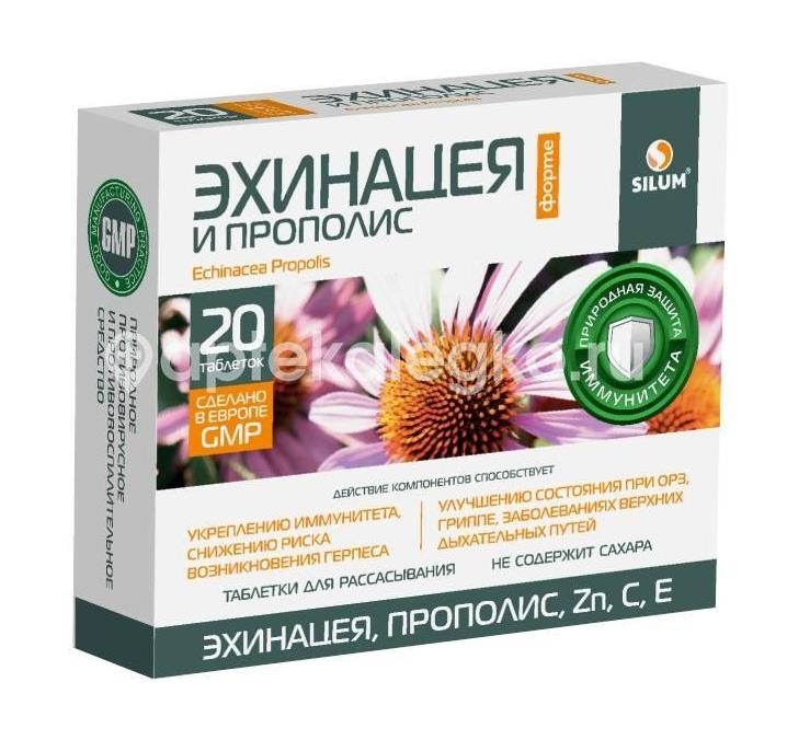 Силум эхинацея форте + прополис №20 таб. для рассасывания без сахара Силум эхинацея форте + прополис №20 таб. для рассасывания без сахара - 1