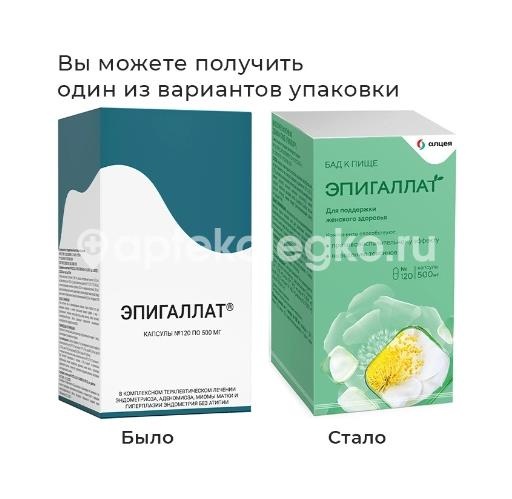 Эпигаллат 120 шт капсулы Эпигаллат 120 шт капсулы - 1