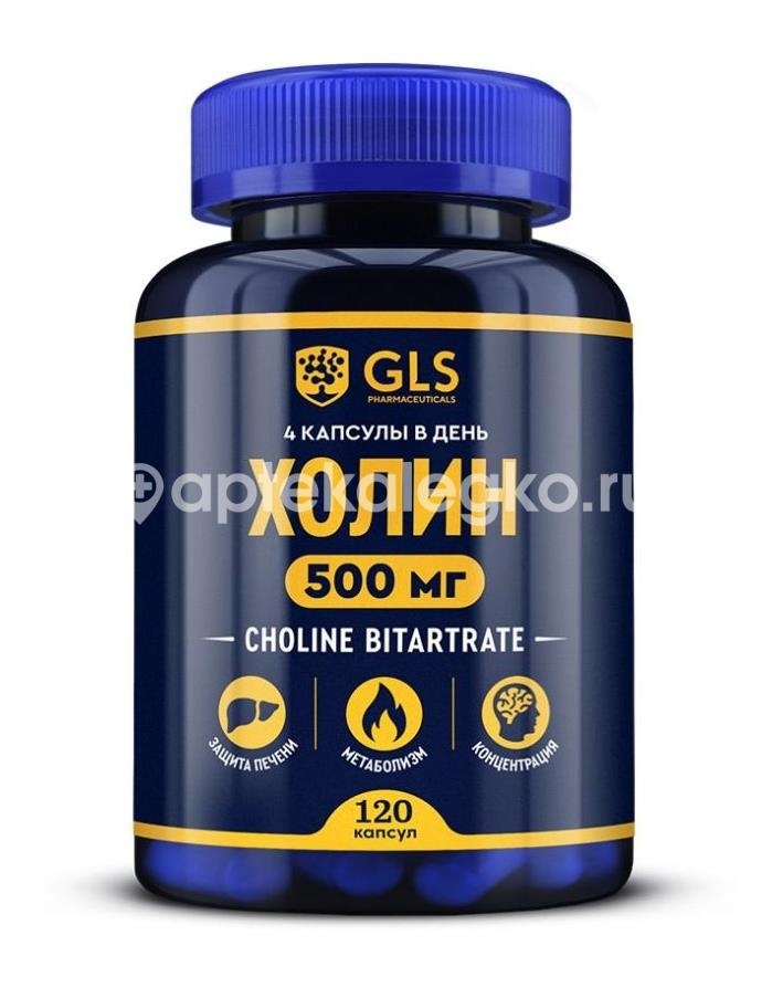 Gls холин 120шт капсулы Gls холин 120шт капсулы - 1