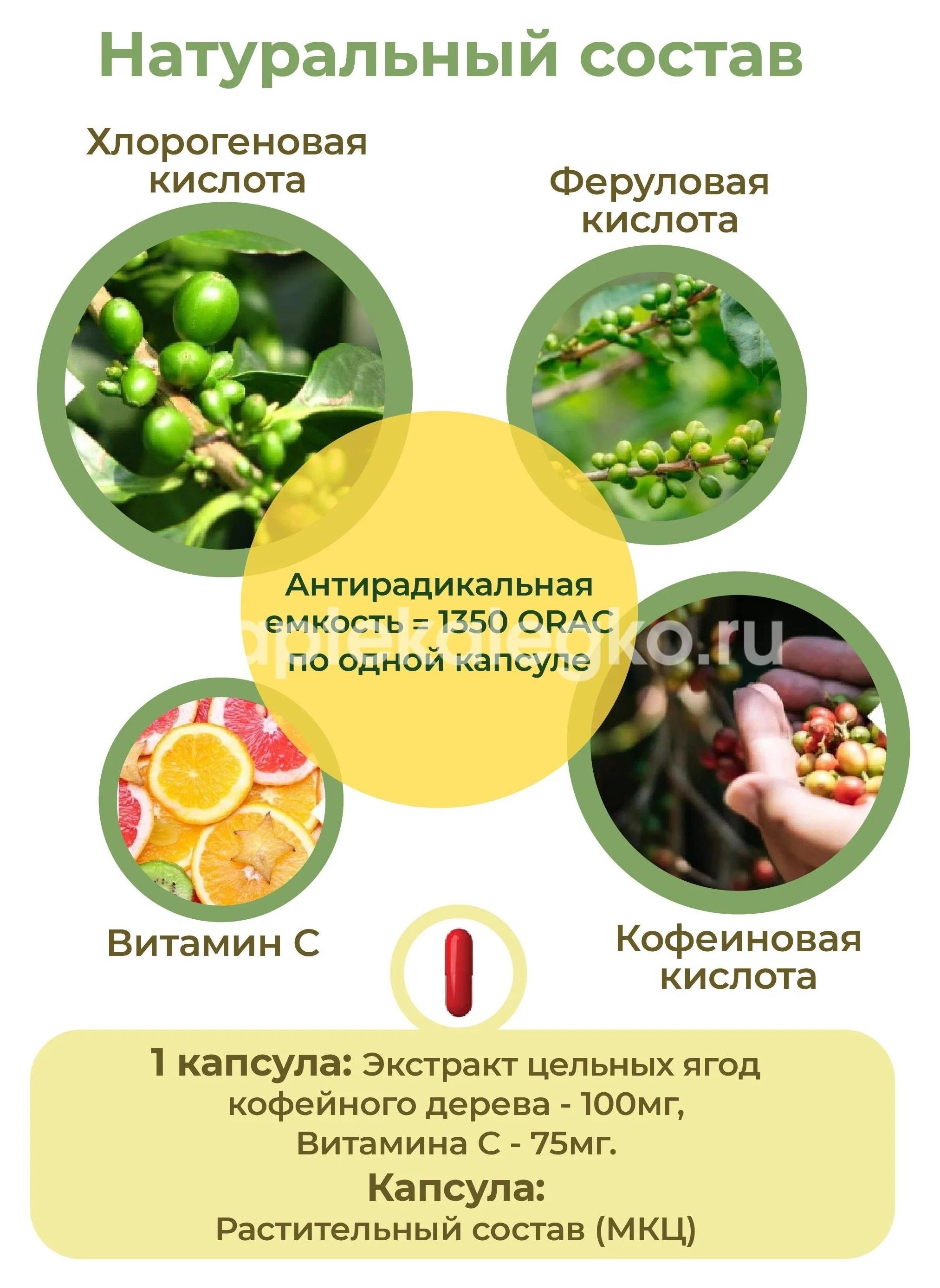 Глюкоберри 60шт. капсулы по 200мг Глюкоберри 60шт. капсулы по 200мг - 3