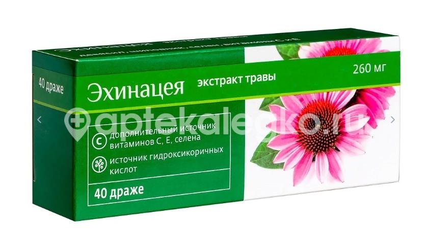 Эхинацея комплекс биокор 40 шт драже Эхинацея комплекс биокор 40 шт драже - 2