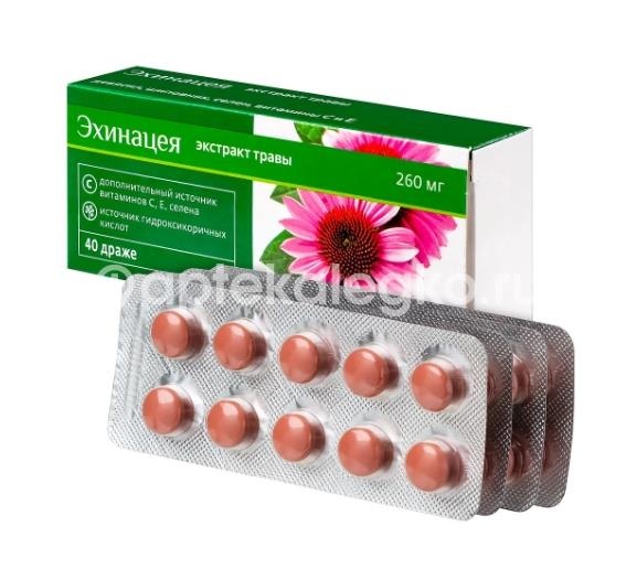 Эхинацея комплекс биокор 40 шт драже Эхинацея комплекс биокор 40 шт драже - 4