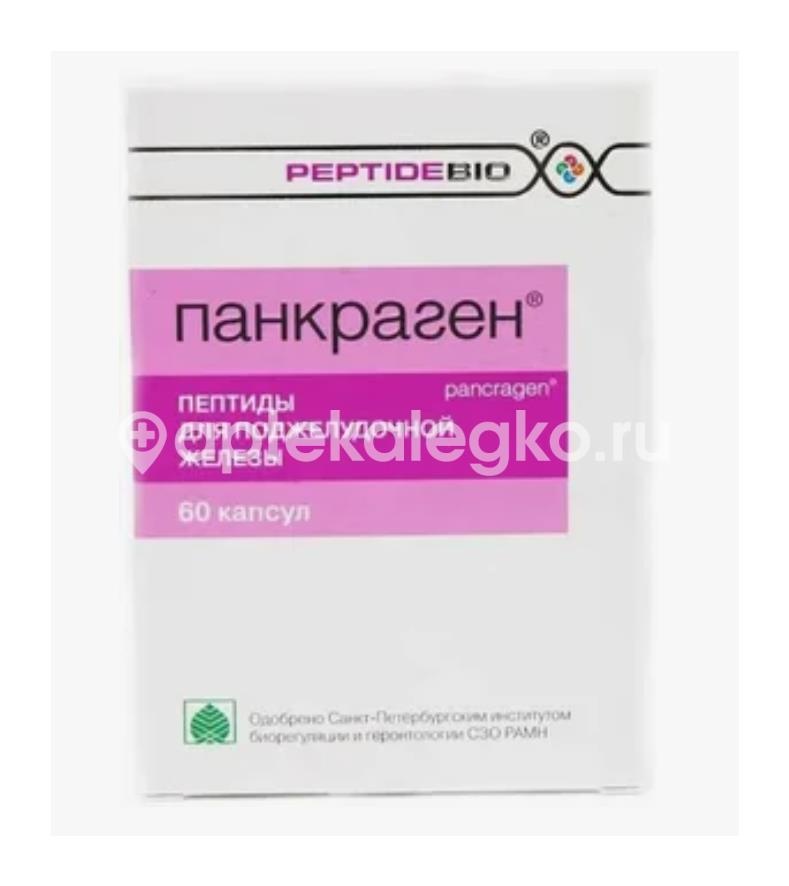 Панкраген 60 шт. капсулы Панкраген 60 шт. капсулы - 2