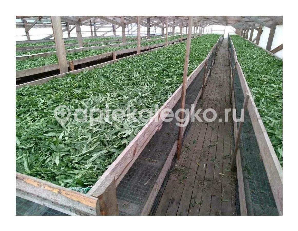 Иван - чай (кипрей) 2г. №20 (бад) чайн.напиток Иван - чай (кипрей) 2г. №20 (бад) чайн.напиток - 1