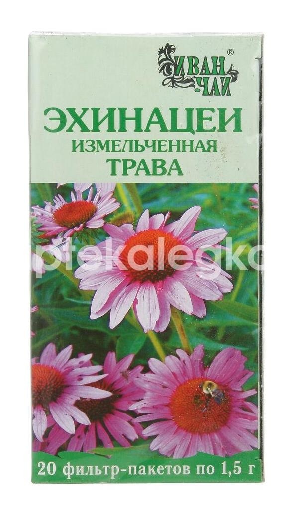 Изображение Эхинацеи пурпурной трава 20шт. чайный напиток 1,5г. пакет Эхинацеи Пурпурной Трава 20шт. чайный напиток 1,5г. пакет ИВАН-ЧАЙ ЗАО
